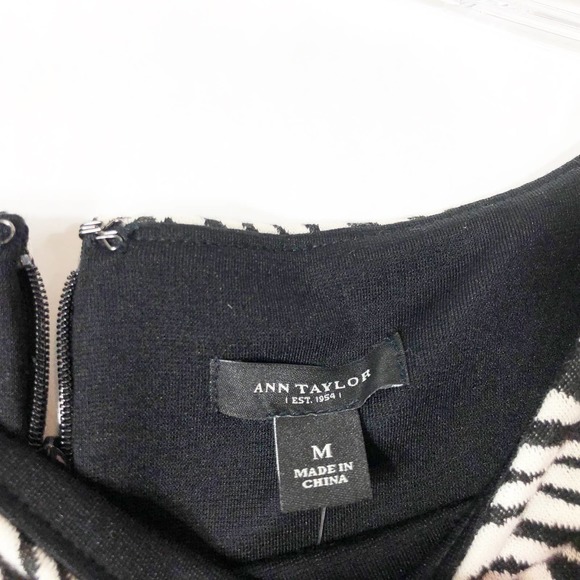 Ann Taylor Medium Dress Zebra Stripe Color Block Shift Sleeveless Career 1561‎ - Picture 10 of 11